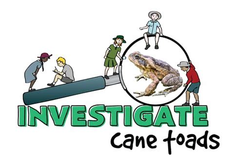 Investigate: Cane Toads | NSW DPI