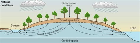 NCERT Class 9 Geography Solutions: Drainage (Contemporary India I) Chapter 3– Part 4- FlexiPrep