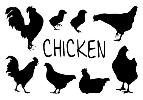 Chicken Silhouette Vectors Vector Art At Vecteezy 0 | The Best Porn Website