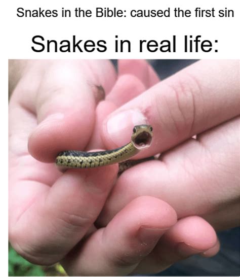 Happy snek : r/memes