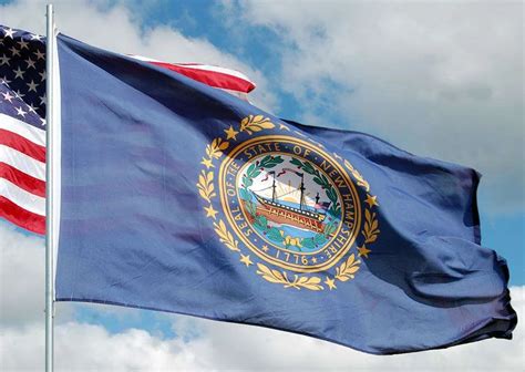 New Hampshire State Flags - Nylon & Polyester - 2' x 3' to 5' x 8' | US Flag Store