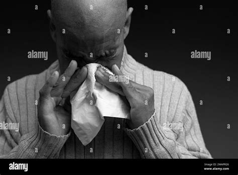 blowing nose after catching the cold and flu with grey background with people stock image stock ...