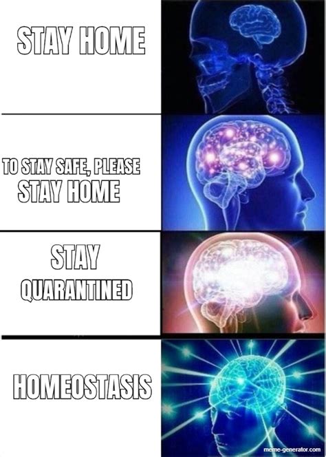 STAY HOME TO STAY SAFE, PLEASE STAY HOME STAY QUARANTINED HOMEOSTASIS - Meme Generator