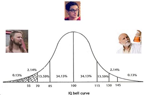 IQ Belle Curve Blank Template - Imgflip