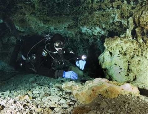 37 best images about Cave Diving in Florida !!! on Pinterest