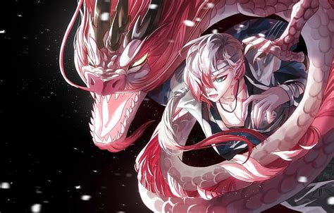 Update more than 77 anime dragon guy super hot - in.cdgdbentre