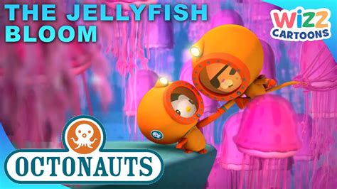 Octonauts: Jellyfish Bloom | atelier-yuwa.ciao.jp