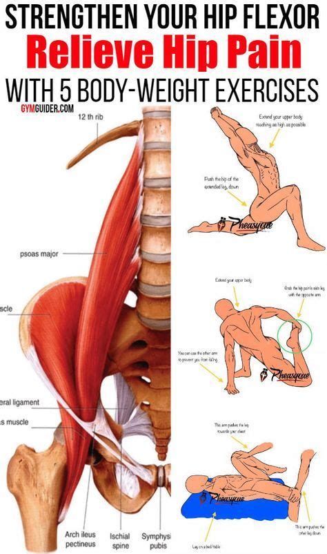 5 Exercises To Relieve Hip Pain And Strengthen Your Hip Flexor - GymGuider.com | Hip flexor, Hip ...