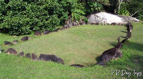 Visit a Taíno Indian Cave in Las Piedras | PRDayTrips