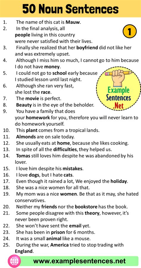 +12 Sentences of Noun Phrase in English - Example Sentences