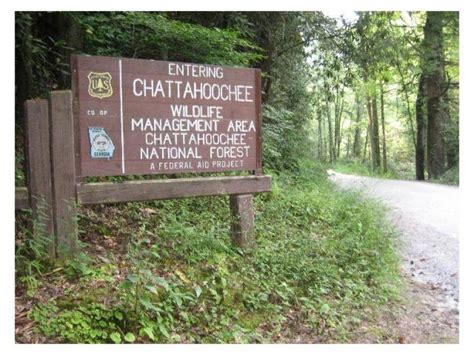 Chattahoochee Wildlife Management Area | Official Georgia Tourism ...