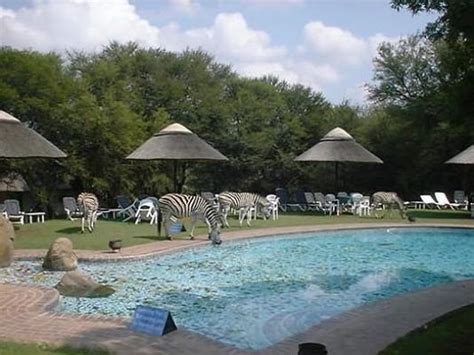 Cradle Moon Lakeside Game Lodge | Game Lodge and Hotel | Muldersdrift, Gauteng, South Africa