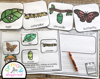 Butterfly Book Study - Book Companion With Butterfly Activities-Centers