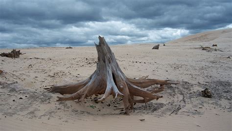 Silver Lake Sand Dunes Guide | Around Michigan