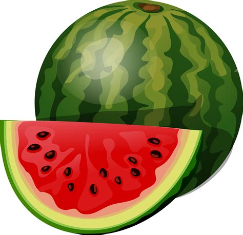 Download Fruiting Clipart Watermelon - Clipart Of Watermelon Png Transparent Png (#4083217 ...