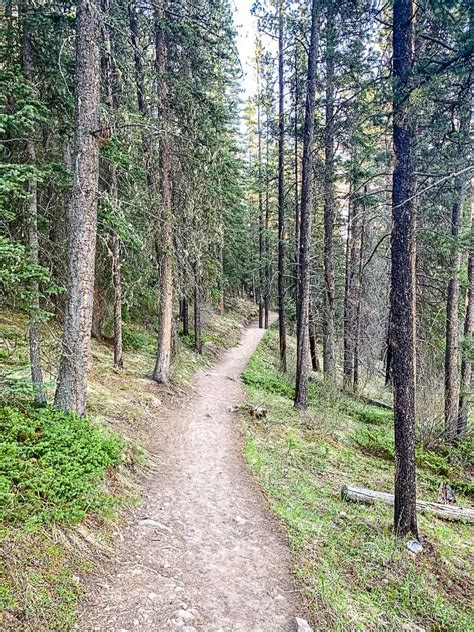 Hiking the Lake Minnewanka Trail in Banff - Travel Banff Canada