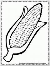 Corn Coloring Pages Printable Free Kids Col  Vrogueco sketch template