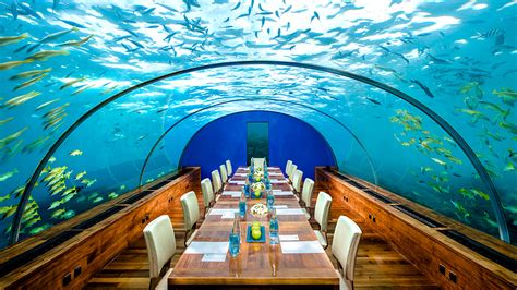 Conrad Maldives Unveils an $125,000 Underwater Thanksgiving Package