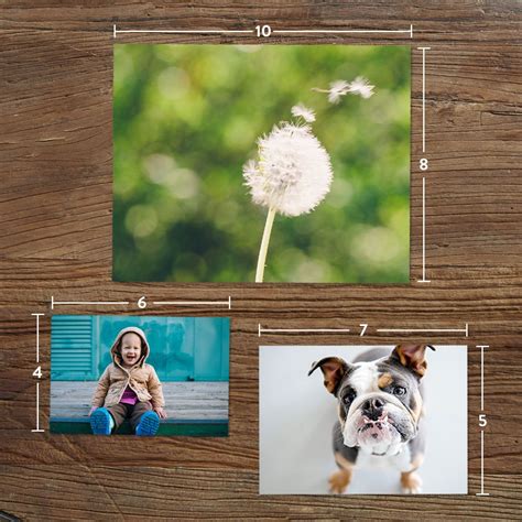 three pictures of a dog and a dandelion on a wooden table with measurements