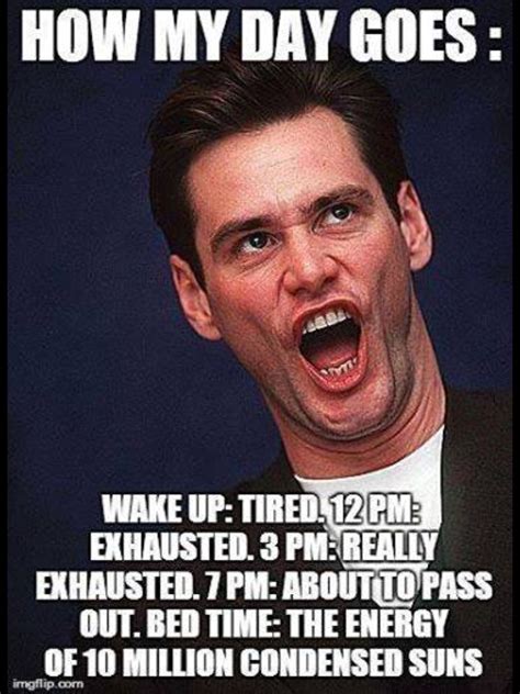 Jim Carrey | Jim carrey, Jim carrey funny, Celebrity memes