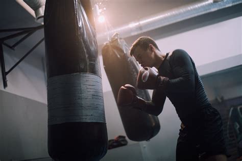 Photo of a Boxer Training · Free Stock Photo