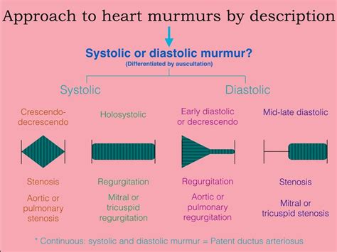 A Comprehensive Diagram of Medical Instruments and Functions