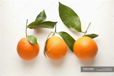 Navel oranges - Stock Photos, Royalty Free Images | Focused