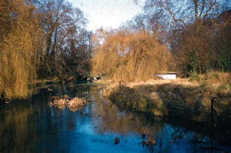 Cassiobury Park Spring 1957 | Cassiobury, Cassiobury | Our Watford History