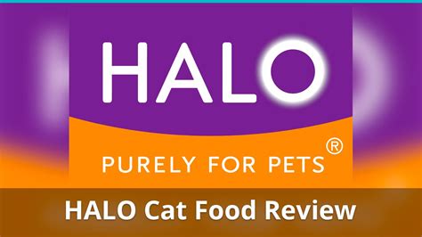 Reviewing Halo Cat and Kitten Food: Best Wet, Canned, And Dry Options