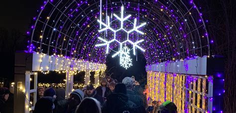 Winter Lights at the Minnesota Landscape Arboretum | HomesMSP | Real Estate Minneapolis