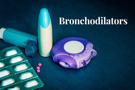 Role of Bronchodilators for Respiratory Health – Bibo