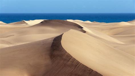 Maspalomas Dunes - Gran Canaria (Spain) - backiee