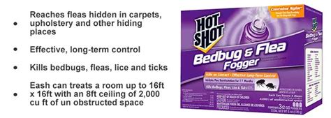 Will a Bed Bug Fogger Effectively Kill a Bed Bug Infestation?