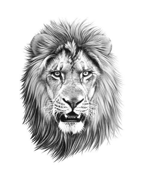 lion,tattoo,drawing,linework | Lion head tattoos, Lion tattoo, Lion tattoo design