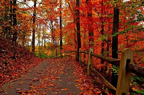 Autumn Pathway HD Wallpapers - Wallpaper Cave