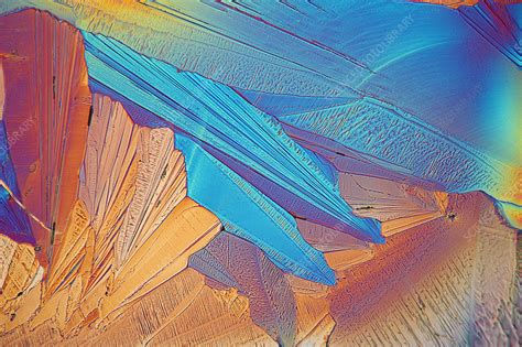 Citric acid crystals, polarised light micrograph - Stock Image - C036/0903 - Science Photo Library