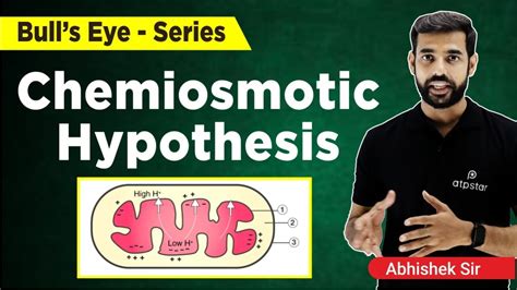 Chemiosmotic Hypothesis | Photosynthesis Class 11 | NEET Biology | ATP ...