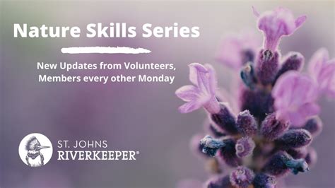 Nature Skills: Share Your Knowledge - St. Johns Riverkeeper