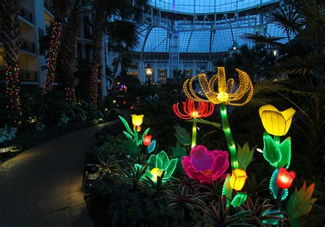 Spring has sprung at the Gaylord - Lumination Network