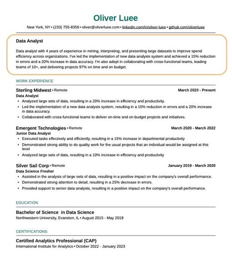 80+ Real Resume Summary Examples to Elevate Your Application | Teal