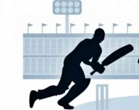 Best Cricket Bats For Beginners - SportsCrunch