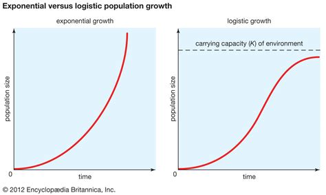 Logistic curve | statistics | Britannica