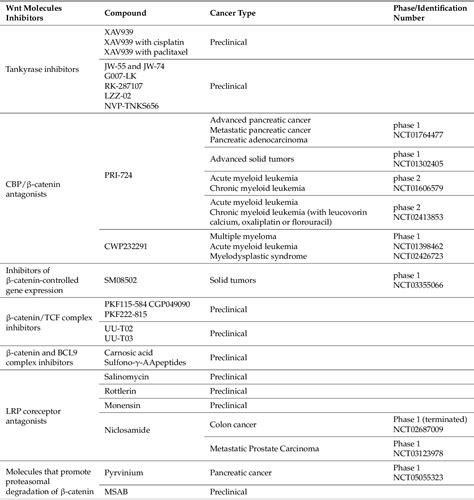 [PDF] Wnt Signaling Inhibitors and Their Promising Role in Tumor Treatment | Semantic Scholar