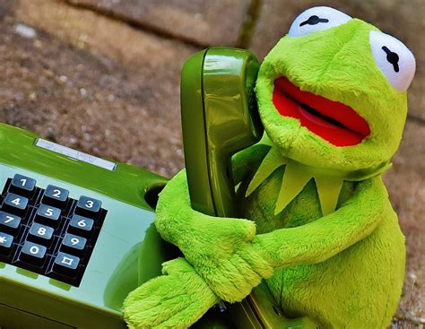 Kermit Frog Phone · Free photo on Pixabay