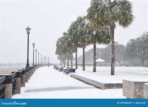 2018 Snowstorm in Charleston, SC Editorial Photo - Image of park ...