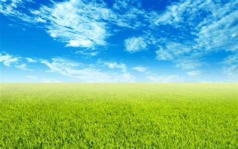 Sky and Grass Wallpaper | Wide Screen Wallpaper 1080p,2K,4K