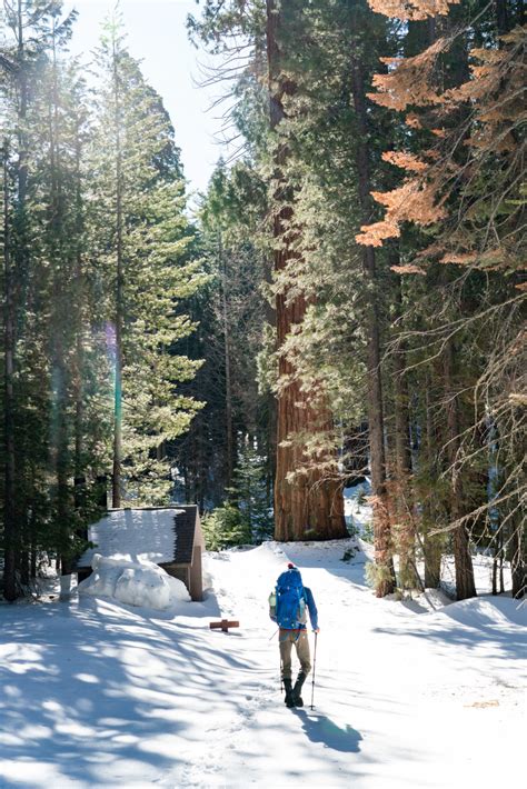 Backpacking Mariposa Grove, Yosemite National Park - littlegrunts.com