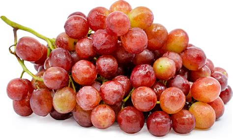 Seedless Grapes Red Information, Recipes and Facts