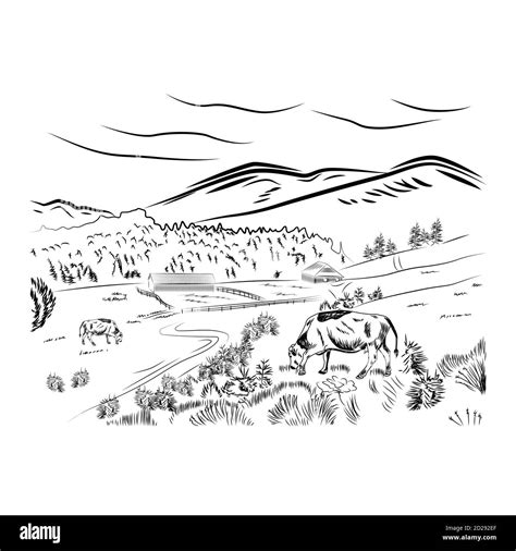 Black sketch cow farm landscape poster with cow grazing in a meadow ...