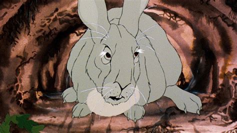 The Daily Stream: Watership Down Is The Most Intense Movie About Cartoon Rabbits You Will Ever See